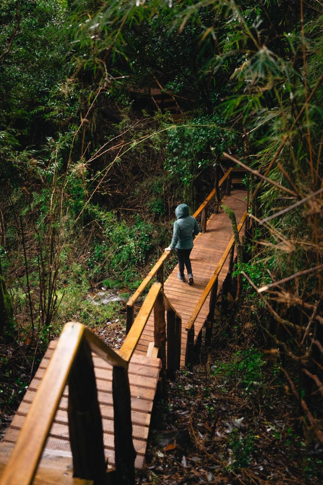 Puente Palos San Pedro Кастро Екстериор снимка